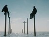 Афиша Ижевска — Ветер