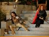 Афиша Ижевска — TheatreHD: Оперный фестиваль в Санкт-Маргаретен: Набукко Афиша Ижевска — TheatreHD: Оперный фестиваль в Санкт-Маргаретен: Набукко