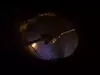 Афиша Ижевска — Ловушка