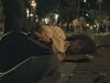 Афиша Ижевска — Тони