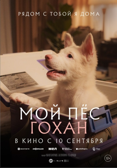 Мой пёс Гохан